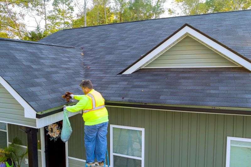 Gutter Maintenance in Summer
